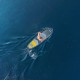 Deska SUP REBEL ACTIVE RBA-4501 350cm