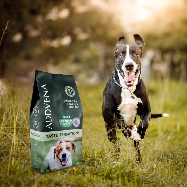 ADDVENA Taste Sensations Adult Medium/Large Turkey - dry dog food - 10kg