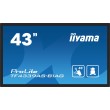 iiyama ProLite TF4339AS-B1AG 43