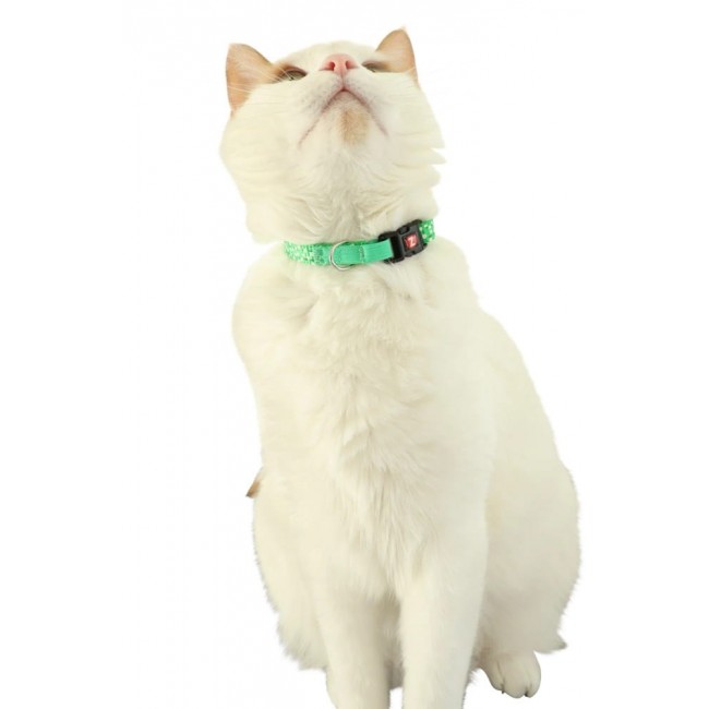 ZOLUX Chatouille green - cat collar