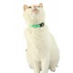 ZOLUX Chatouille green - cat collar