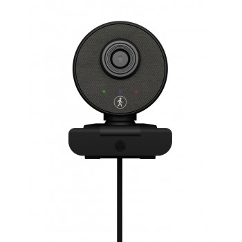 ICY BOX IB-CAM501-HD webcam 1920 x 1080 pixels USB 2.0 Black