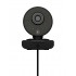 ICY BOX IB-CAM501-HD webcam 1920 x 1080 pixels USB 2.0 Black