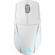 Corsair M75 WIRELESS mouse Gaming Ambidextrous RF Wireless Optical Corsair M75 WIRELESS mouse Gaming Ambidextrous RF Wireless Optical