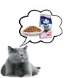 PREVITAL Senior Salmon - dry cat food - 1,4kg