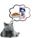 PREVITAL Senior Salmon - dry cat food - 1,4kg PREVITAL Senior Salmon - dry cat food - 1,4kg