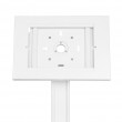 Maclean Tablet Holder Stand, Desktop Lock, W - 9.7 Maclean Tablet Holder Stand, Desktop Lock, W - 9.7