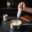 Adler AD 4616 Immersion blender