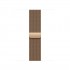 Apple 40mm Gold Milanese Loop Apple 40mm Gold Milanese Loop