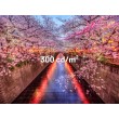 JAPANNEXT JN-I238FHD120F-HSP-YE computer monitor 60.5 cm (23.8