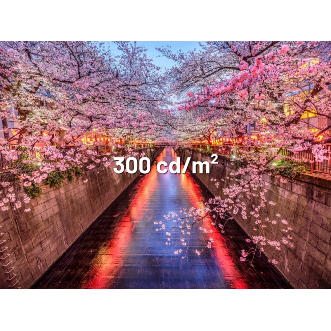 JAPANNEXT JN-I238FHD120F-HSP-YE computer monitor 60.5 cm (23.8
