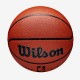 Wilson NBA Authentic Indoor & outdoor Brown