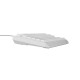 GENESIS Thor 230 TKL keyboard Gaming USB + RF Wireless + Bluetooth QWERTY White