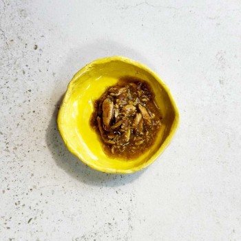 OLLO Cat nr 8 Tuna & Seaweed in broth - wet cat food - 70g