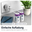 Ansmann 1314-0005 household battery Rechargeable battery D Lithium-Ion (Li-Ion)