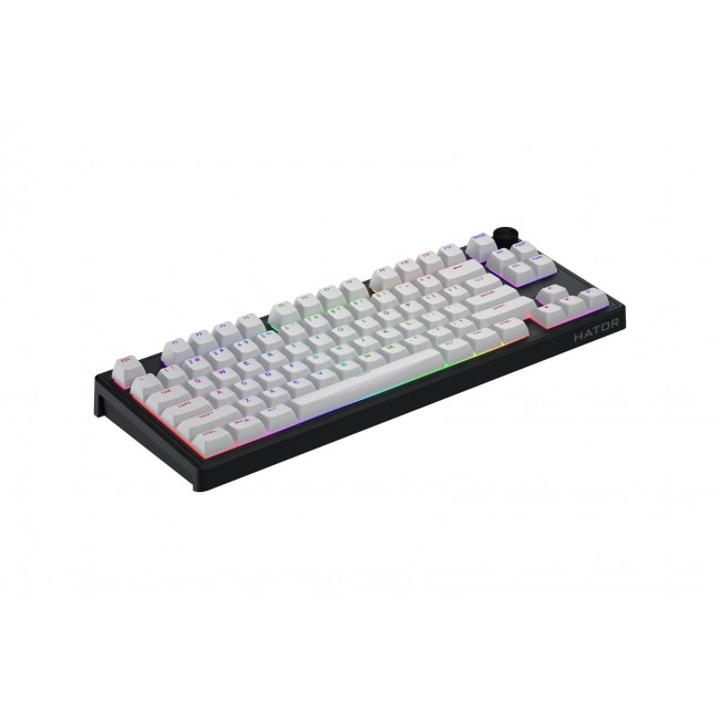 HATOR Skyfall 80 MAG ULTRA 8K keyboard Gaming USB QWERTY US English Black, White HATOR Skyfall 80 MAG ULTRA 8K keyboard Gaming USB QWERTY US English Black, White