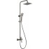 Rain shower with shower faucet
