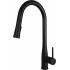 Kitchen faucet with pull-out spout
