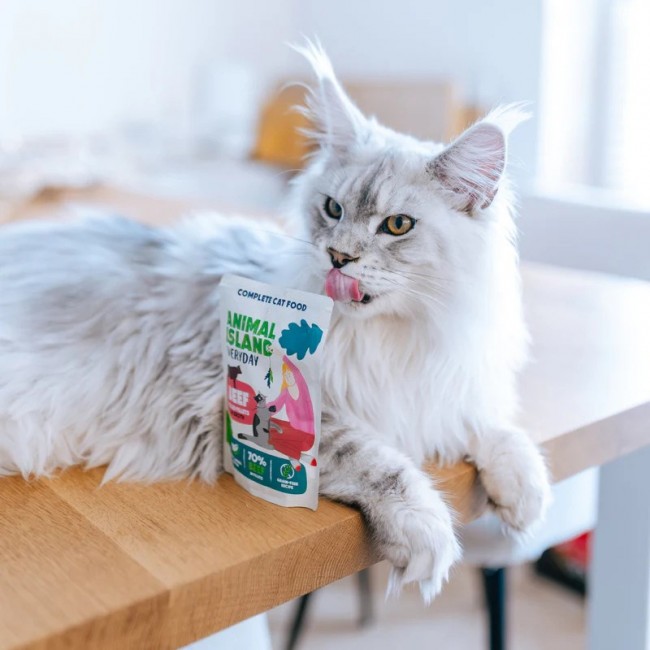 ANIMAL ISLAND Beef in broth - wet cat food - 40x85g ANIMAL ISLAND Beef in broth - wet cat food - 40x85g