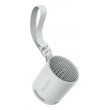 Sony SRS-XB100 - Wireless Bluetooth Portable Speaker, Durable IP67 Waterproof & Dustproof, 16 Hour Battery, Eco, Outdoor and Travel in Light Grey