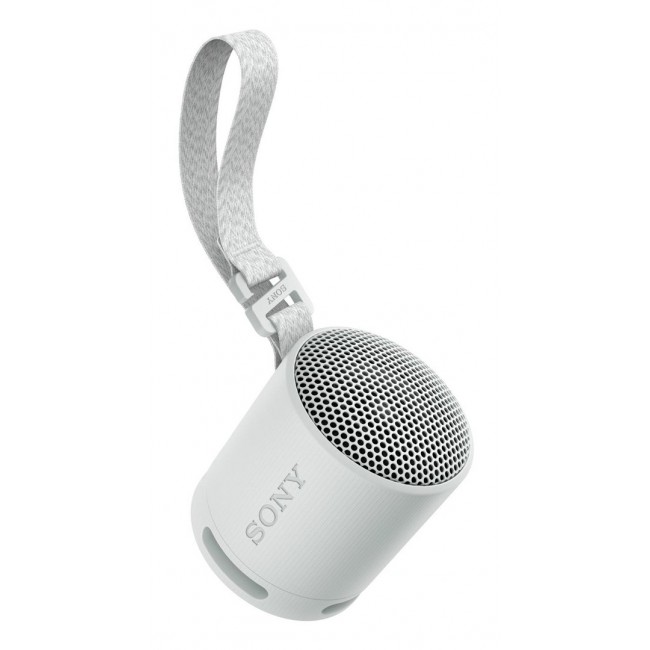 Sony SRS-XB100 - Wireless Bluetooth Portable Speaker, Durable IP67 Waterproof & Dustproof, 16 Hour Battery, Eco, Outdoor and Travel in Light Grey