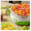 Sencor SFD 851GR food dehydrator Light Green, Transparent 240 W Sencor SFD 851GR food dehydrator Light Green, Transparent 240 W