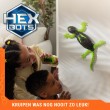 HEX BOTS | Interactive Toy Wall Crawler Gecko RC Robot | Green/Grey