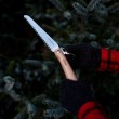 Opinel 001198 hand saw Pruning saw 20.3 cm Grey, Wood