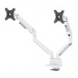 Neomounts DS70-250WH2 Monitor arm 17-32