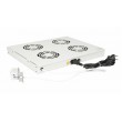 Equip Cooling Fans 19', 1U, 4FANS, RAL7035 Grey