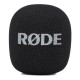 R DE Interview GO - handle with pop filter