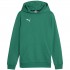 Puma Team Goal Casuals Hoddy Sweatshirt green 658619 05 164cm