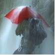 EuroSCHIRM Birdiepal outdoor Red Fiberglass Polyamide Full-sized Rain umbrella