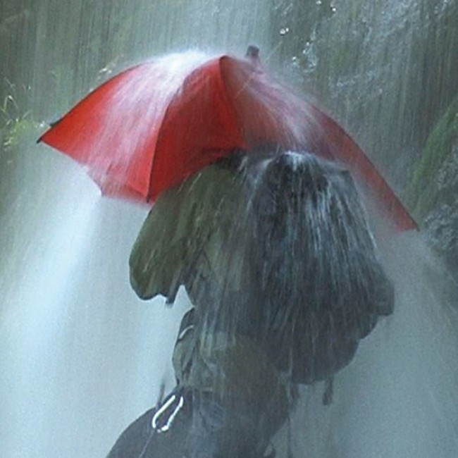 EuroSCHIRM Birdiepal outdoor Red Fiberglass Polyamide Full-sized Rain umbrella