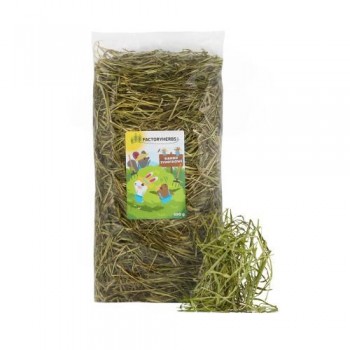 FACTORY HERBS Fresh timothy hay Harvest 2025 - treat for rodents and rabbits - 500g