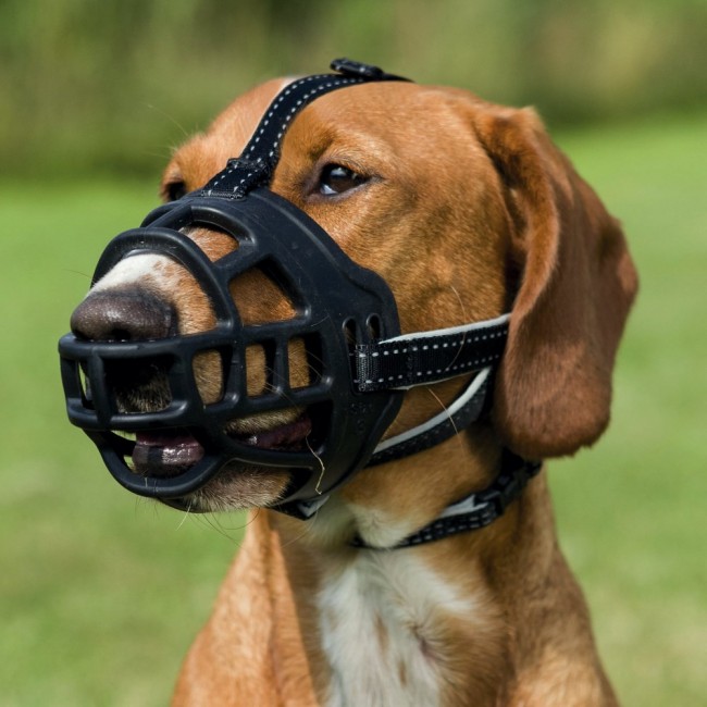 TRIXIE muzzle for dog - size M-L - black