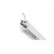 Avtek Business Electric Screen 300P