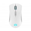 Lenovo Legion M600 Wireless Gaming mouse Ambidextrous RF Wireless + Bluetooth + USB Type-A Optical 16000 DPI Lenovo Legion M600 Wireless Gaming mouse Ambidextrous RF Wireless + Bluetooth + USB Type-A Optical 16000 DPI