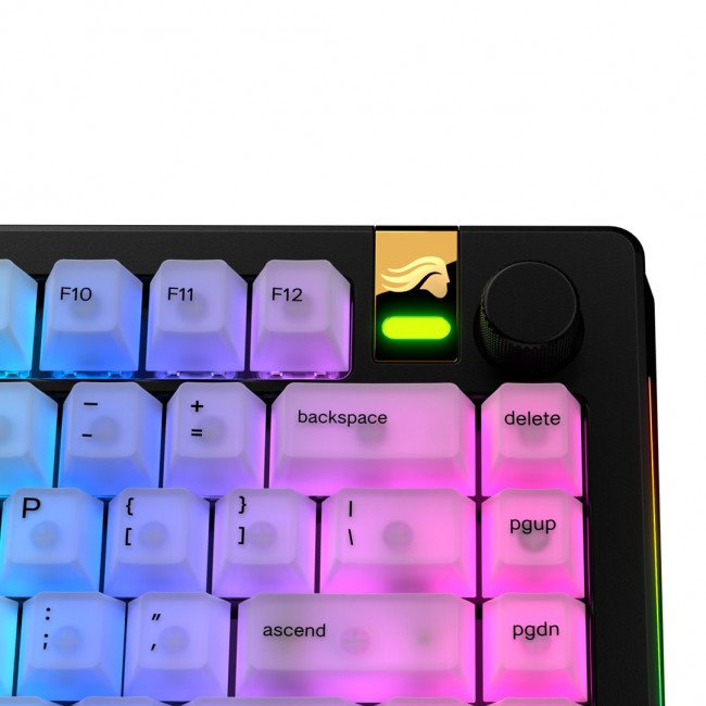 Glorious Gaming Glorious Polychroma V2 RGB Keycaps US Glorious Gaming Glorious Polychroma V2 RGB Keycaps US