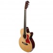V-TONE EAG SET NT electroacoustic guitar + amplifier