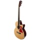 V-TONE EAG SET NT electroacoustic guitar + amplifier