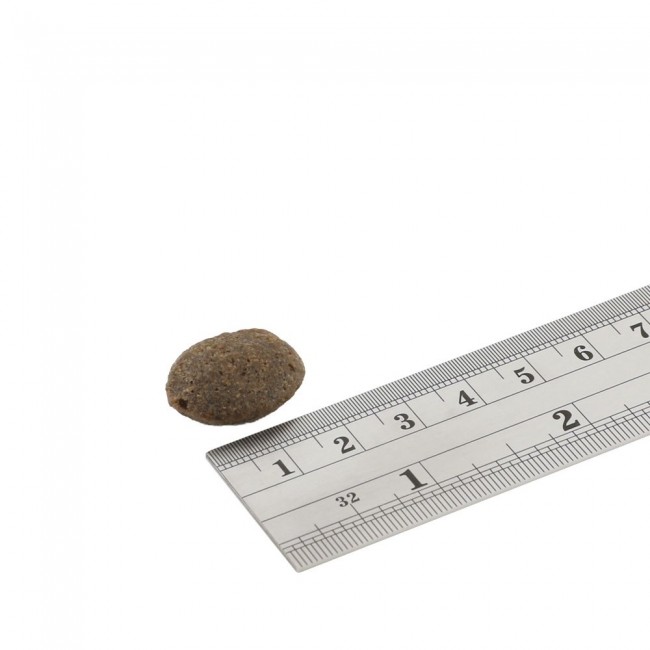 FISH4DOGS Finest Salmon Large breeds - dry dog food - 12kg