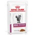 ROYAL CANIN Vet Renal Feline with Beef Wet cat food Chunks in sauce Chicken, Pork, Beef 12x85 g