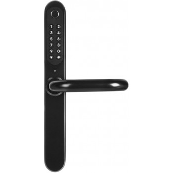 Handle with Access Control EURA ELH-30H4 Black