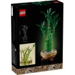 LEGO ICONS 10344 The Botanical Collection - Lucky Bamboo