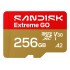 SanDisk Extreme GO 256 GB MicroSDXC UHS-I