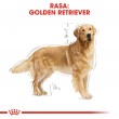 ROYAL CANIN BHN Golden Retriever dry dog food - 12kg