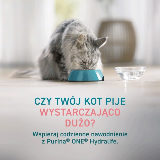 PURINA One Hydralife Salmon - cat treats - 50g