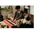 Casio CT-S1 Digital synthesizer 61 Red Casio CT-S1 Digital synthesizer 61 Red