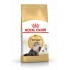 ROYAL CANIN Persian Adult - dry cat food - 400g